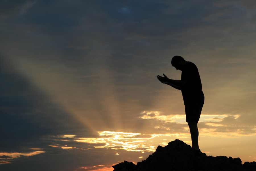 La perspectiva sistémica es la búsqueda espiritual